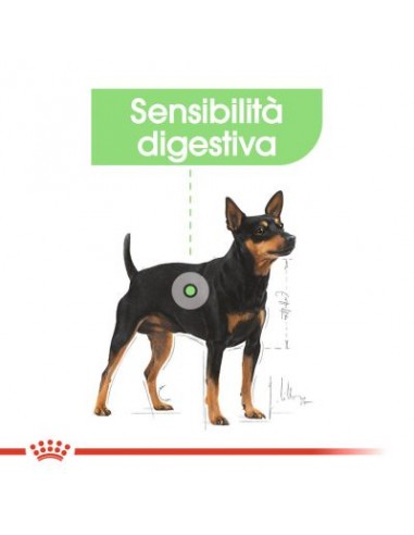 Mini Digestive Care kg 1.Crocchette Per Cani