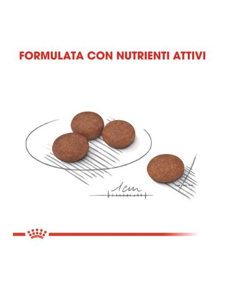 Mini Digestive Care kg 1.Crocchette Per Cani