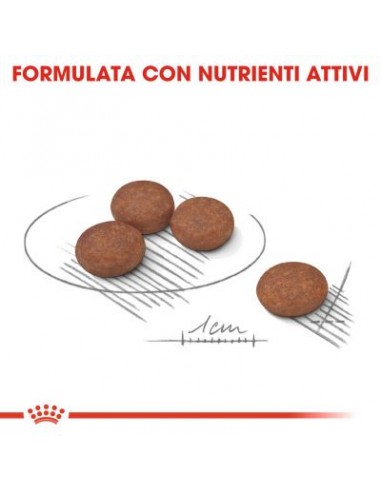 Mini Digestive Care kg 3.Crocchette Per Cani