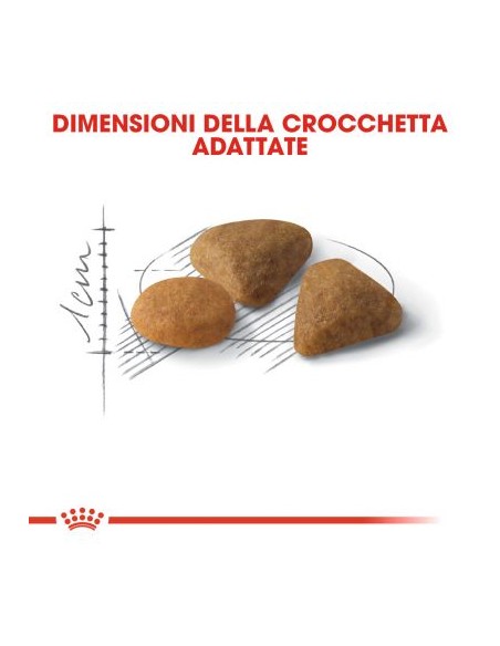 Exigent Savour kg 10 Royal Canin. Cibo Secco Per Gatti