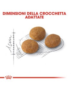 Exigent Aromatic Attraction gr 400. Royal Canin. Cibo Secco Per Gatti 2