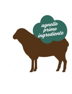 Stuzzy Dog Monoproteico Agnello gr 800. Cibo Umido per Cani 2