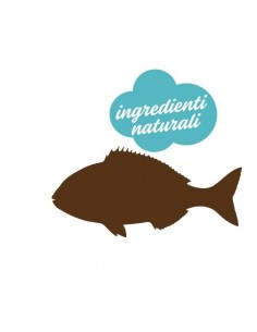 Stuzzy Dog Con Pesce Oceanico Jelly Gr 100. Alimento Umido Per Cani 2