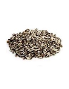 Girasole Piccolo Striato gr 600. Mangime Per Uccelli 2