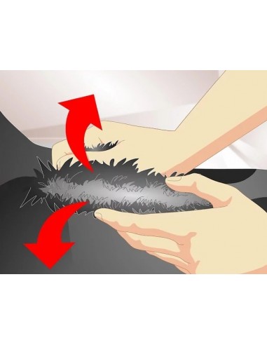 Advantix Spot-On Cane 4-10 Kg Antiparassitario per Cani spot-on (in gocce per uso esterno) specifico per il cane che offre ampia