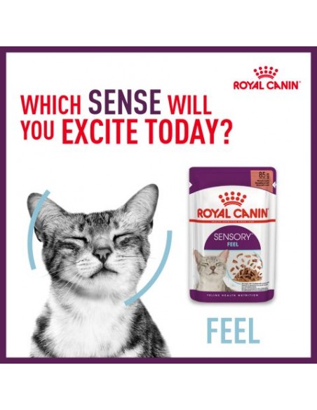 Royal Canin Sensory Feel in Salsa gr 85. Cibo Umido Per Gatti