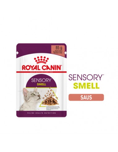 Royal Canin Sensory Smell in Salsa gr 85. Cibo Umido Per Gatti