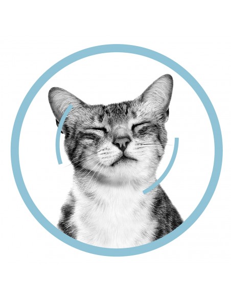 Royal Canin Sensory Smell in Salsa gr 85. Cibo Umido Per Gatti