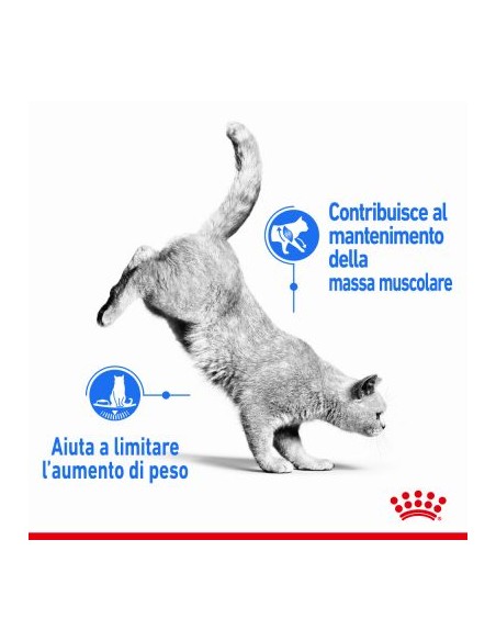 Royal Canin Light Weight Care kg 3. Cibo Secco Per Gatti