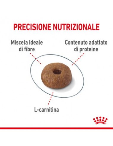Royal Canin Light Weight Care gr 400. Cibo Secco Per Gatti