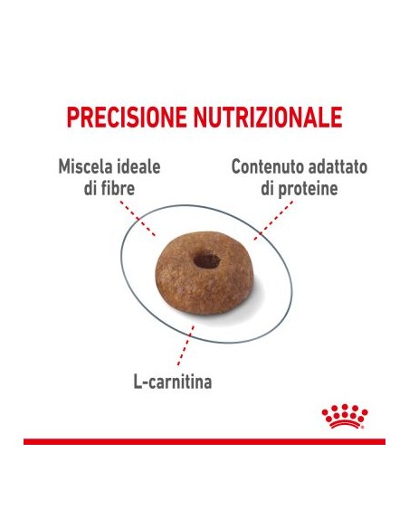 Royal Canin Light Weight Care gr 400. Cibo Secco Per Gatti