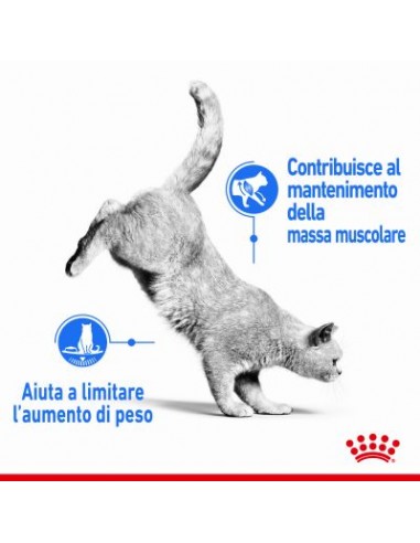 Royal Canin Light Weight Care gr 400. Cibo Secco Per Gatti