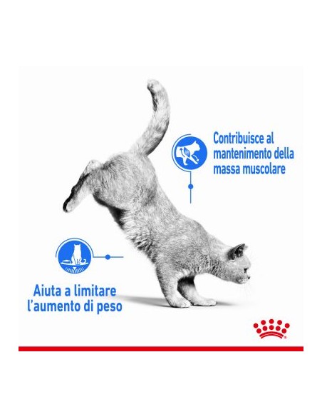 Royal Canin Light Busta Gravy gr 85. Cibo Umido Per gatti