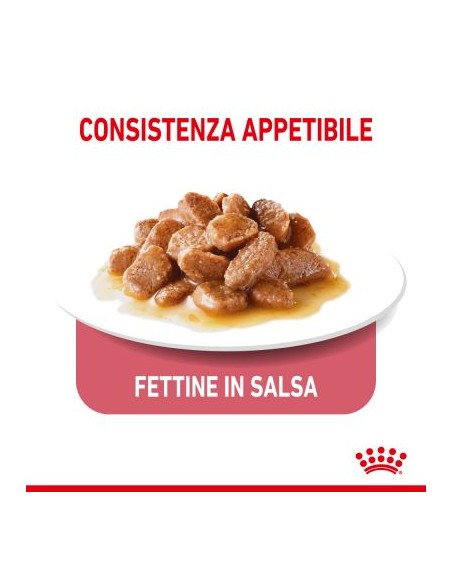 Royal Canin Light Busta Gravy gr 85. Cibo Umido Per gatti
