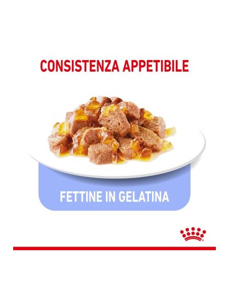 Royal Canin Ultra Light  Jelly gr 85. Cibo Umido Per Gatti