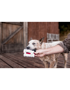 Gioco Play Howling Haunts, Dentiera Peluche. Gioco Per Cani 2