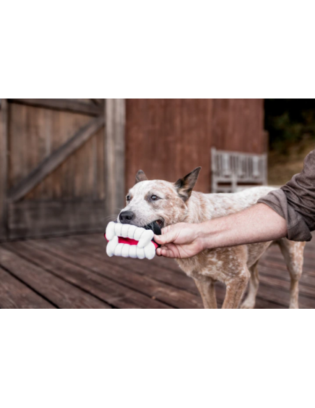 Gioco Play Howling Haunts, Dentiera Peluche. Gioco Per Cani