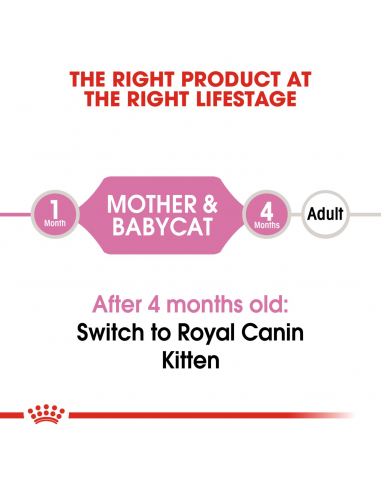 Royal Canin Mother and Baby  gr 195. Cibo Per Cuccioli di Gatto