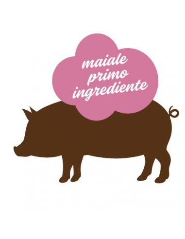 Stuzzy Monoproteico Gatto Maiale gr 100. Cibo Umido Per Gatti