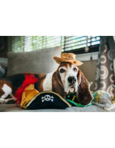 Gioco Play Cappelli, pirata Peluche. Giochi Per Cani 2