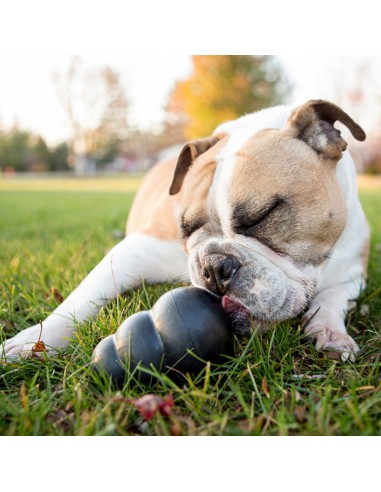 Kong Extreme Extra Large . Giochi Per Cani