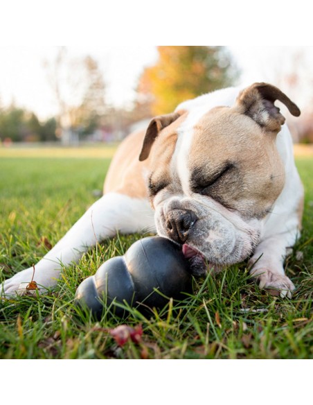 Kong Extreme Medium . Giochi Per Cani