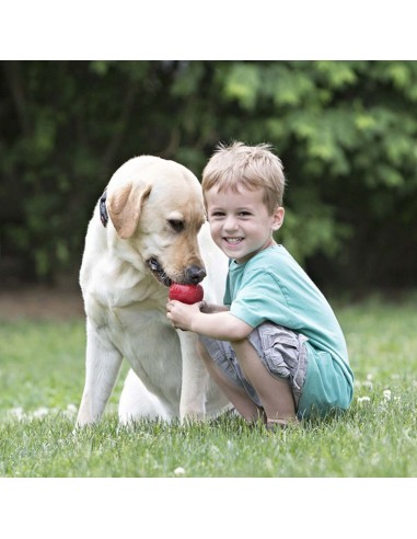 Kong Classic Extra Large . Giochi Per Cani