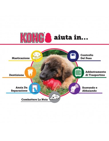 Kong Classic Extra Large . Giochi Per Cani