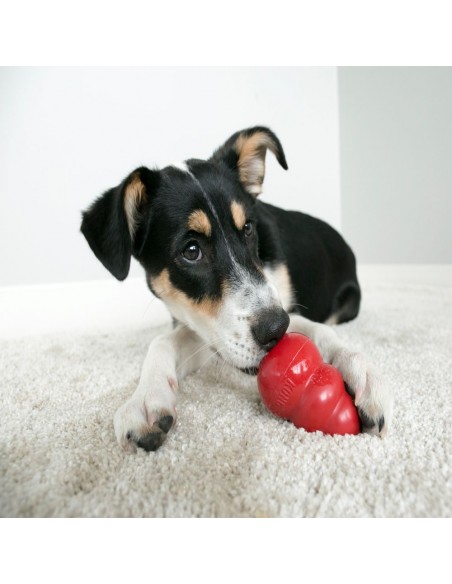 Kong Classic Large . Giochi Per Cani