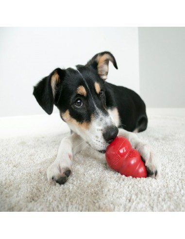 Kong Classic Medio Giochi Per Cani