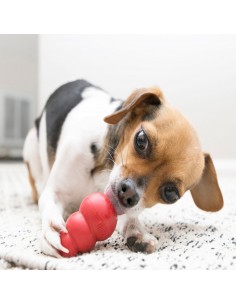 Kong Classic Small . Giochi Per Cani 2