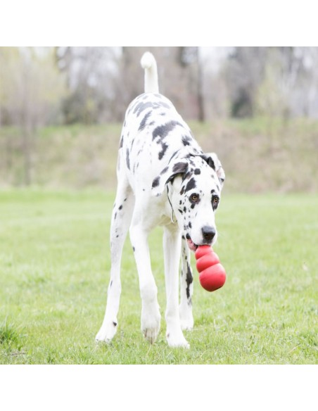 Kong Classic Gioco per Cani