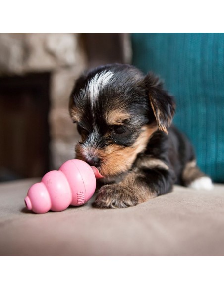 Kong Puppy Small Giochi Per Cani