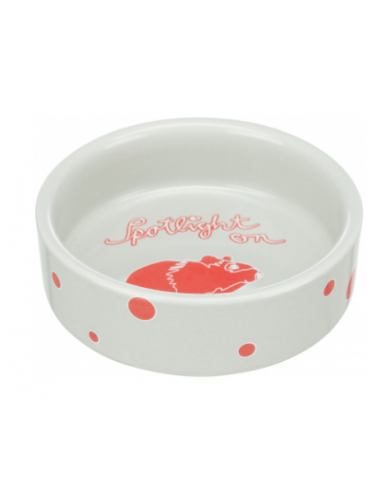 Ciotola in Ceramica per Conigli . Accessori per Roditori