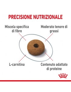 Appetite Control gr.400 Royal Canin. Cibo Secco Per Gatti 2