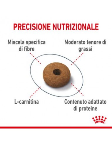Appetite Control gr.400 Royal Canin. Cibo Secco Per Gatti