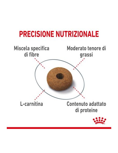 Appetite Control gr.400 Royal Canin. Cibo Secco Per Gatti