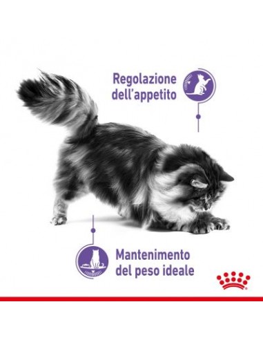 Appetite Control gr.400 Royal Canin. Cibo Secco Per Gatti