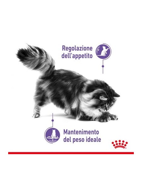 Appetite Control gr.400 Royal Canin. Cibo Secco Per Gatti