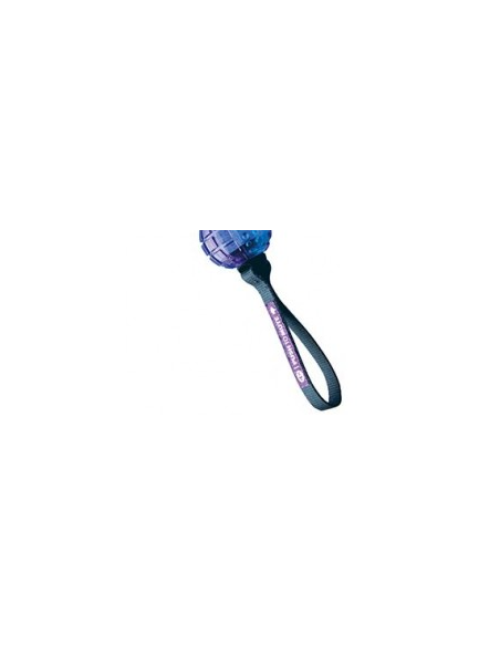 Gimdog Stick Push To Mute Viola e blu. Gioco Per Cani
