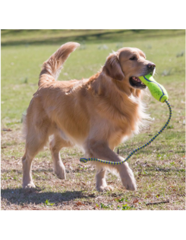 Kong Fetch Stix m. Gioco Per Cani