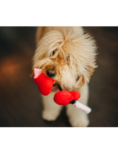 gioco cuori peluche . gioco per cani