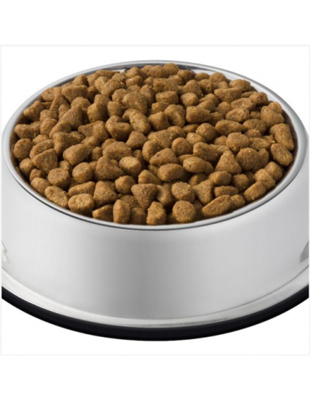 Purina Cat Chow Adult Salmone kg 10. Cibo Secco Per Gatti