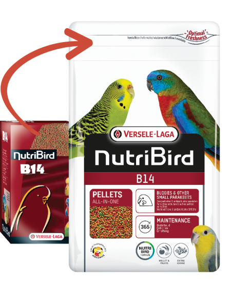 Nutribird B14 Mantenimento gr 800. Mangime Per Uccelli