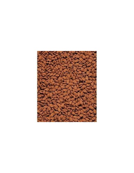 Nutribird G14 Original Mantenimento kg 1. Mangime Per Uccelli