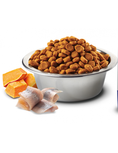 promo standN&D Grain free ZUCCA ADULT MINI MERLUZZO ZUCCA E ARANCIA KG.7