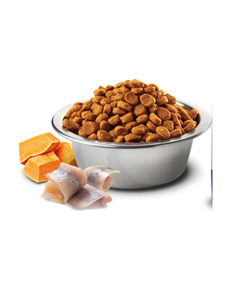 promo standN&D Grain free ZUCCA ADULT MINI MERLUZZO ZUCCA E ARANCIA KG.7
