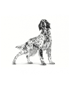 Renal small dog kg 3,5 Royal Canin . Dietetico per cani 2