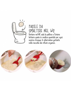 Lettiera Cat&Rina Benatural Tofu  Profumata Te' Verde 5,5 litri Lettiera Per Gatti 2