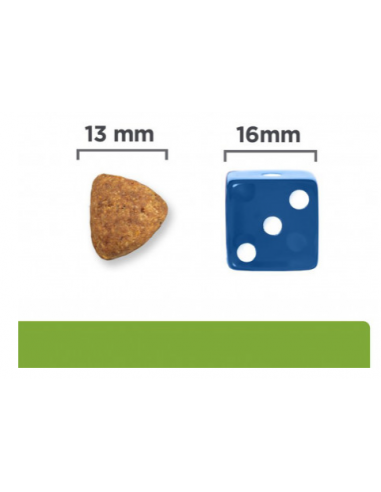 HILL'S Canine Metabolic Kg.1,5 Agnello e Riso. Dietetico Per Cani